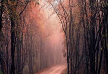 关于重返巅峰路上曲折莫测，团队紧密合作的信息